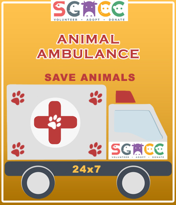 Sanjay Gandhi Animal Care Centre (SGACC) | Largest Animals Shelter in New  Delhi - India | Largest Veterinary Hospital in India | Animal Hospital in  India | Adopt a Pet | Adopt